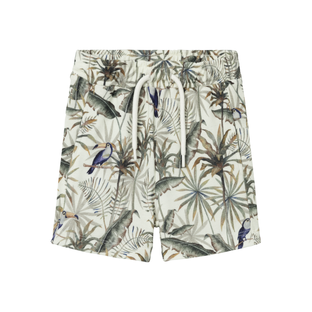 NAME IT Shorts Haykan Icicle